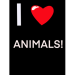love the animals!