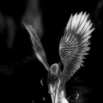 ANGUISHED ARCHIVE
