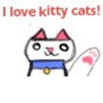 The kitty catty club