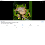 Catbroxx army yeet yeet yeet yeet