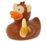The duck group is the baby duck