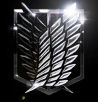 Dark Shadow Corps