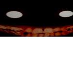 scp-fp