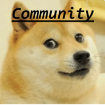 Doge International Community