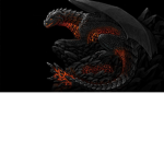 dragon store!!
