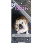 Lss 804