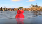 Elmo pirates