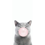 The bubbelgummies