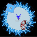 BlueFoxYT Community