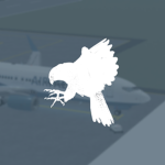 AirFalcon