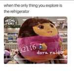 dora raid