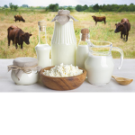 MILK GODS