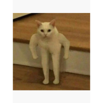 zane_uwu