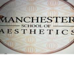 Manchester school of aesthetics (bloxburg)