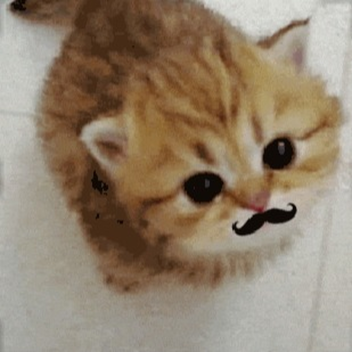 ♡