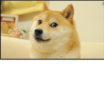 Cult of Doge’s