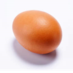 obtain the egg