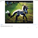 Animal lives