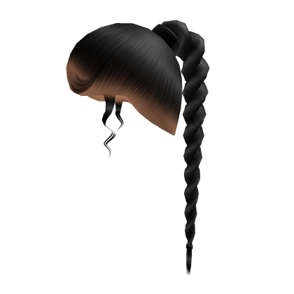Long Rope Twist Ponytail [Black] Roblox item