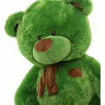 Green Teddy Bare