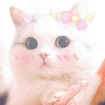 CatClaws