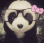 Pandas raid