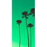 Orbitlemon