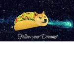 #THE DOGE ARMY
