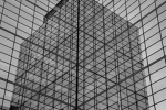 Experience Corp.