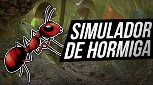 La vida de una hormiga