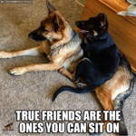 this is levi's and jerold's group