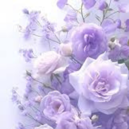 𝓌𝒾𝓁𝓁