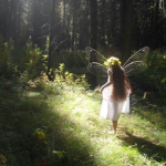 ୨୧ fairyworld