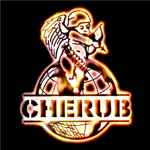 CHERUB ORGANISASION