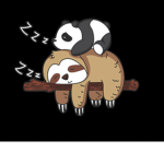 The slowest sloth’s