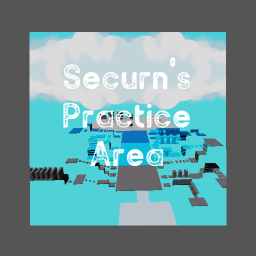 Securn's Practice Area