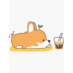 Kitty Cat XD