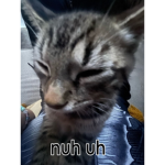Nuhhh uhhh