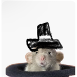 The Rat Monarch