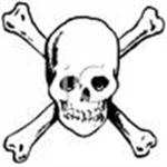 The Skull Killers Cheerleading Group