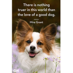 # Animal squad love animals