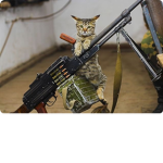 The Army Cats