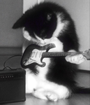 CyberKittiez