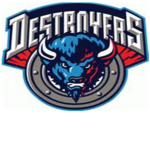 Dallas Destroyers (RHL)