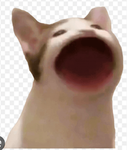 잼민이그룹 군침이싹도노