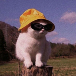 Swag gang ;))