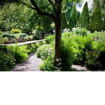 Mosses Garden