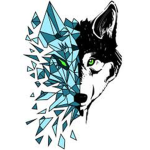 Silver Wolf Foundation