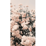 Vintage land