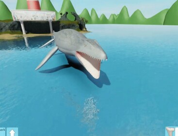 Shark bite 3 ALP
